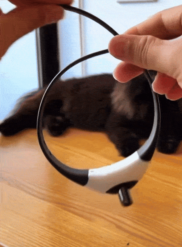 SmartPaws™- Le jouet préféré des chats d’intérieur