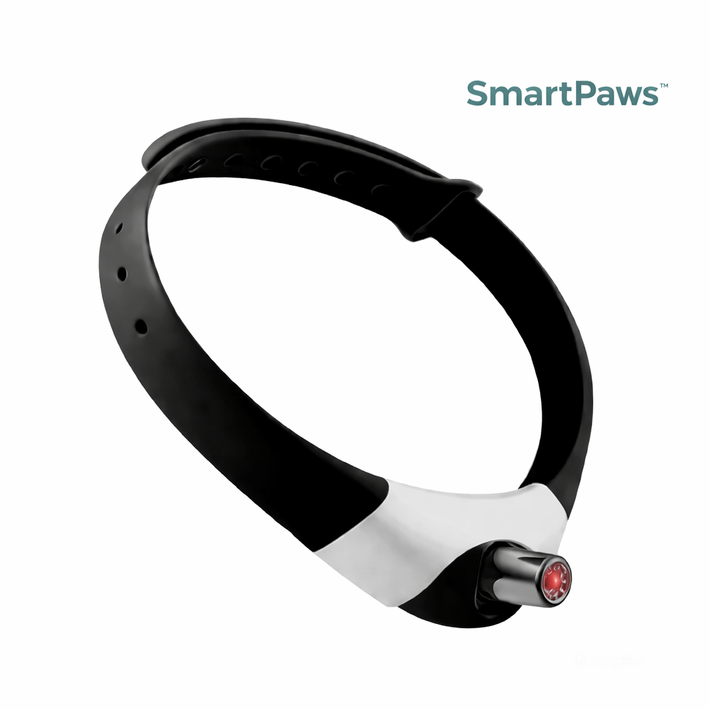 SmartPaws™- Le jouet préféré des chats d’intérieur