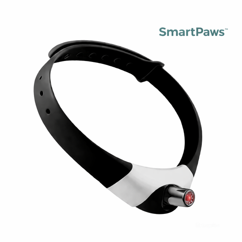 SmartPaws™- Le jouet préféré des chats d’intérieur